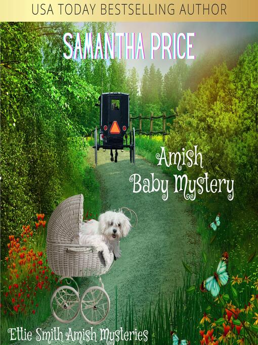 Title details for Amish Baby Mystery by Samantha Price - Wait list